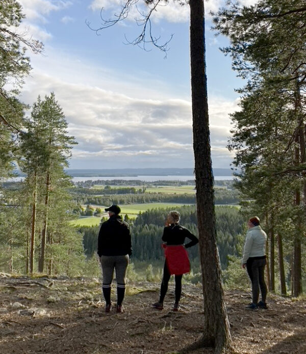 Luontoliikuntapoppoo Vuokatissa syksy